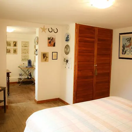 Gaestehaus Cheval Blanc Apartment Lorch am Rhein Room photo